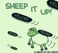 Sheep It Up!